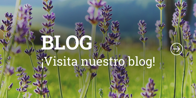 Conoce nuestro Blog